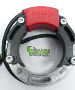 Selettra Stator NO2019